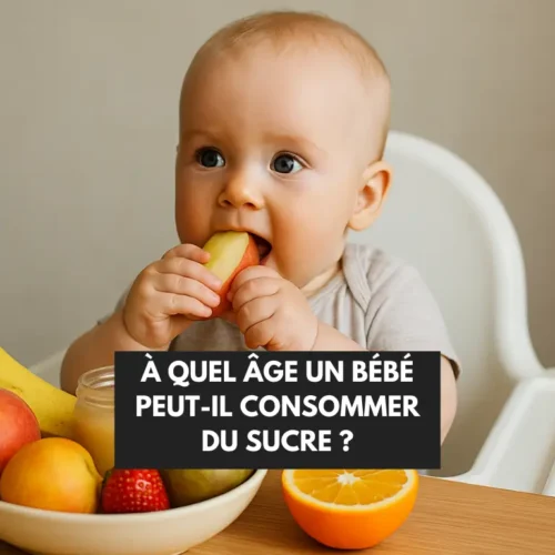 Bébé assis dans sa chaise haute mangeant des fruits naturellement sucrés, sans sucre ajouté.