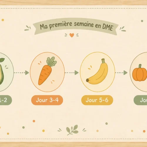 ma-premiere-semaine-dme-planning-illustration Illustration du planning de la première semaine en DME : avocat jour 1-2, carotte jour 3-4, banane jour 5-6, combinaison jour 7